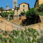 Siena
