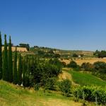 Region Chianti Castello Di Gabbiano